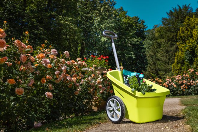 Wózek ogrodowy – nieoceniony pomocnik w pracach ogrodowych