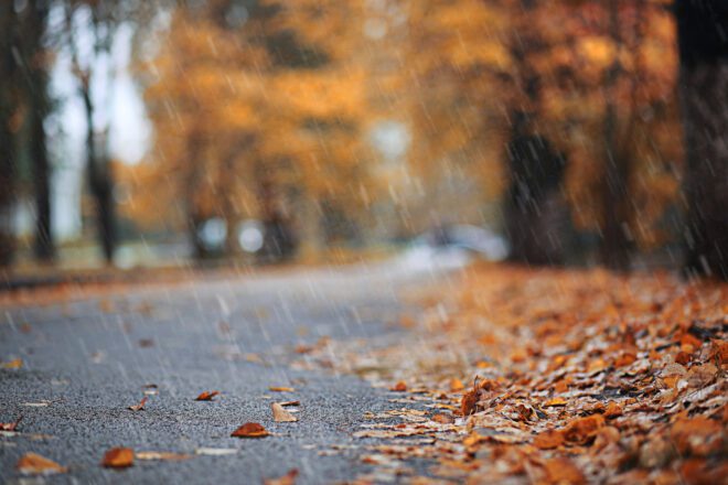 Autumn rain in the park